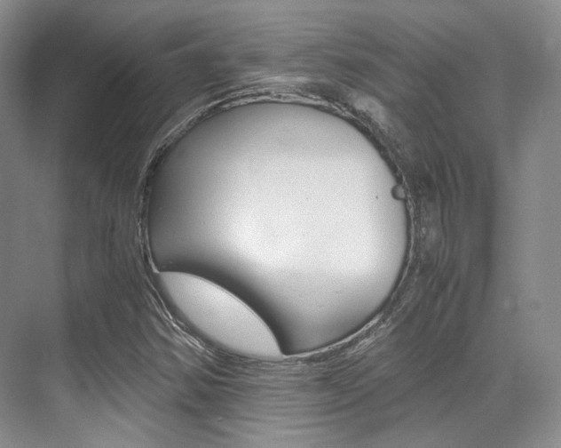 X0000070251354200606020948