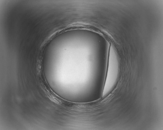 X0000070251355200606020948