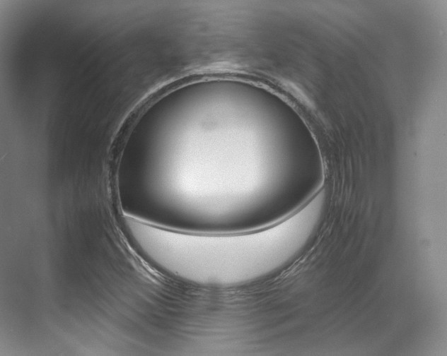 X0000070251356200606020948