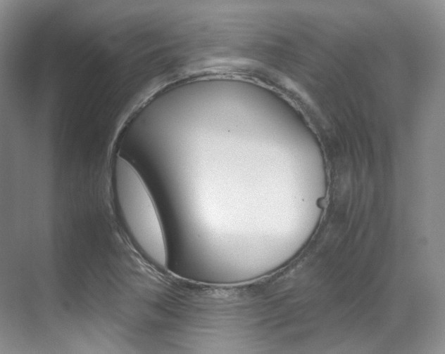 X0000070251362200606020948