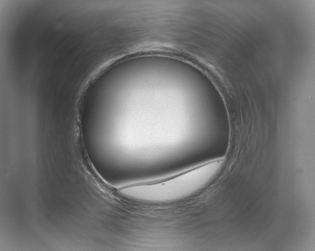 X0000070251363200606020948
