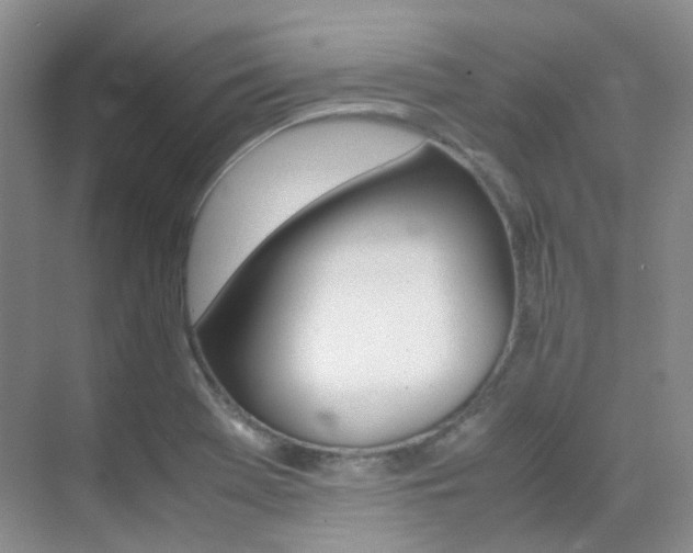 X0000070251369200606020947