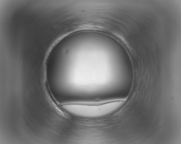 X0000070251371200606020947