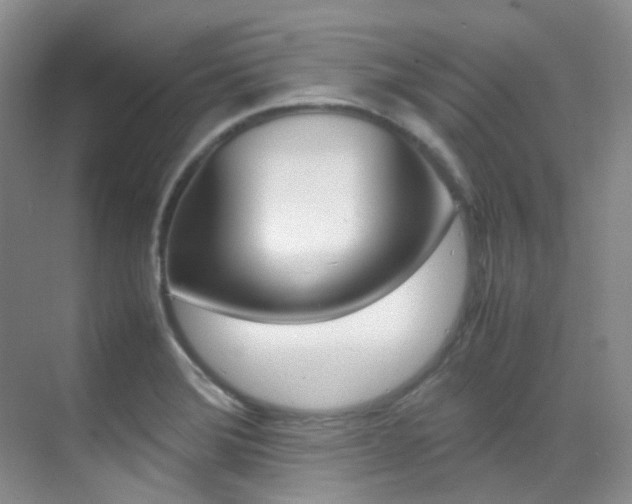 X0000070251372200606020947