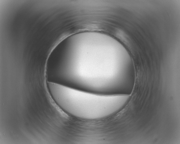 X0000070251378200606020947
