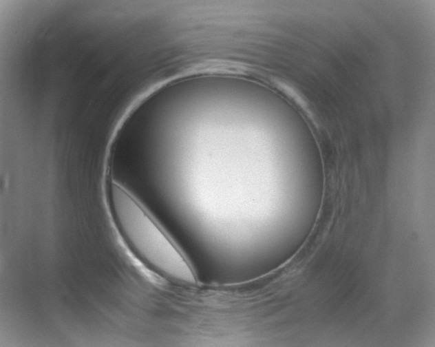 X0000070251379200606020947