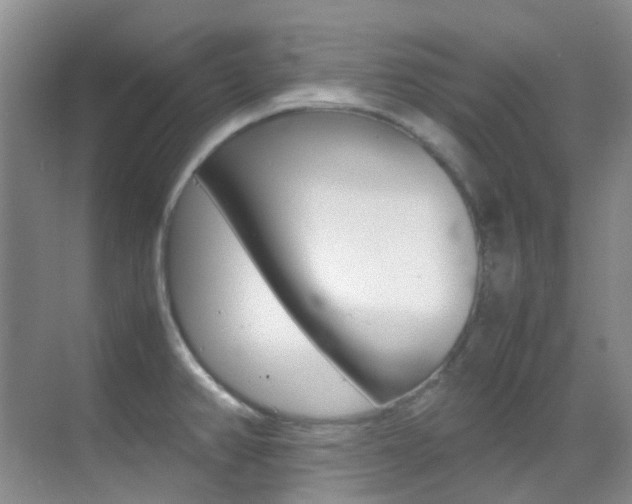 X0000070251382200606020947