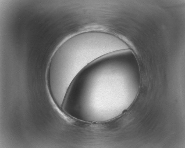 X0000070251383200606020947