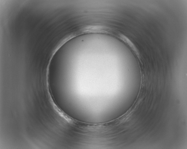 X0000070251386200606020947