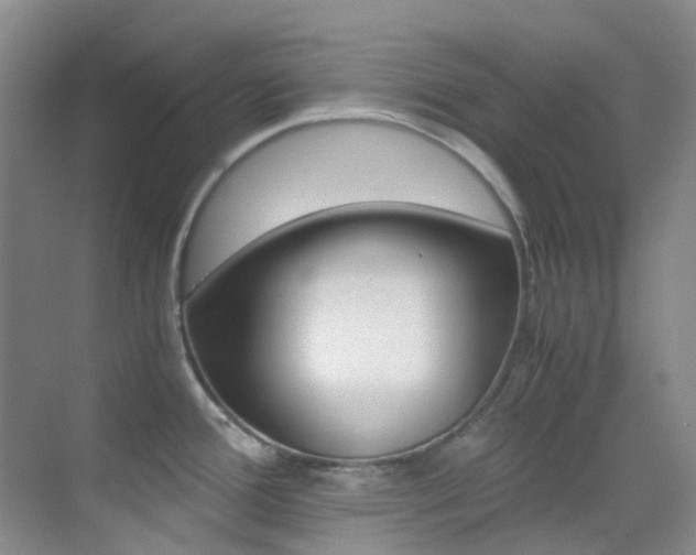 X0000070251388200606020947