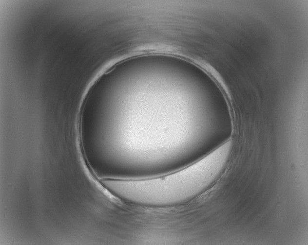 X0000070251389200606020947