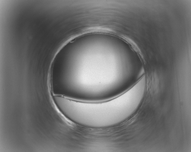 X0000070251391200606020947