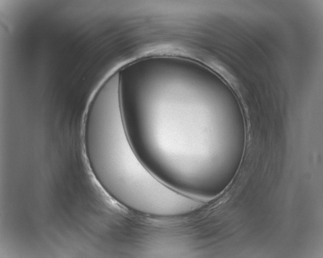 X0000070251392200606020947