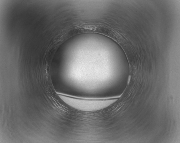 X0000070251394200606020946