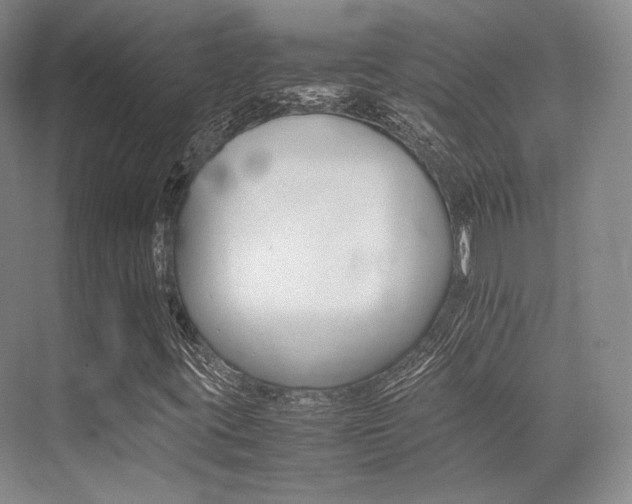 X0000070251395200606020946