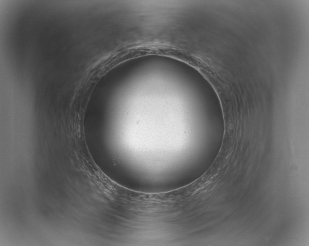 X0000070251398200606020946