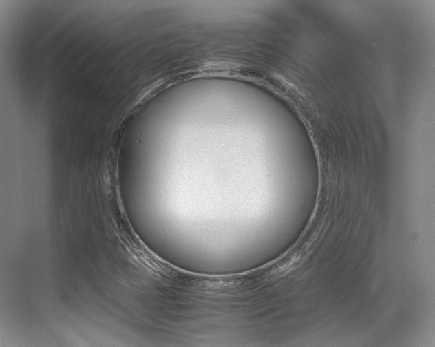 X0000070251401200606020946