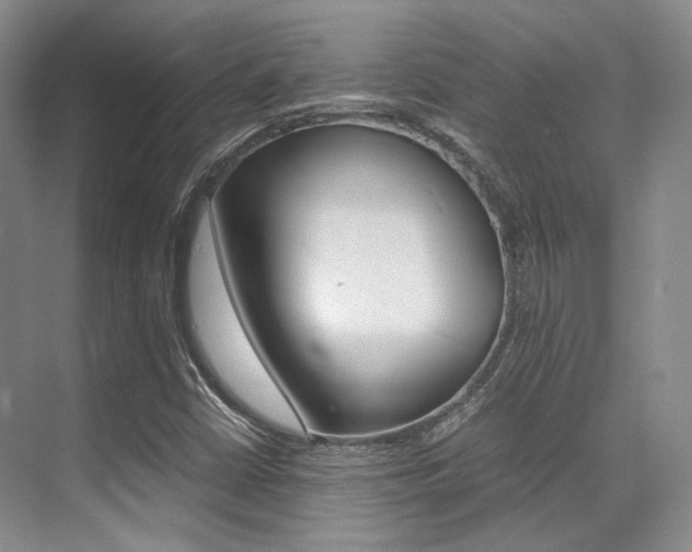X0000070251402200606020946