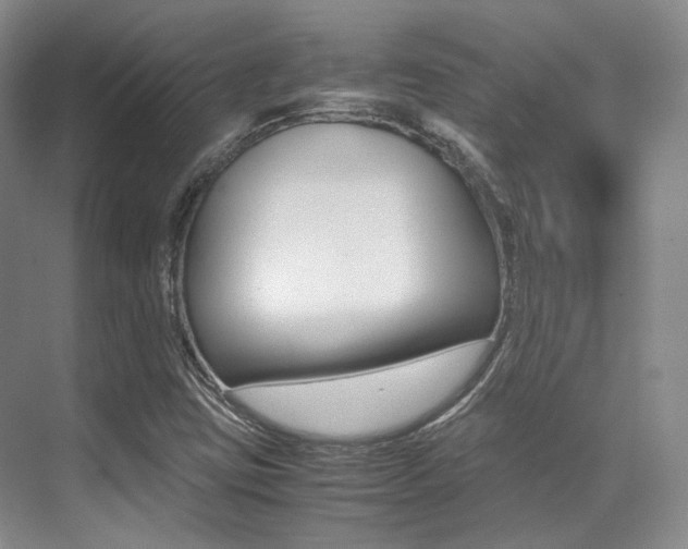 X0000070251403200606020946
