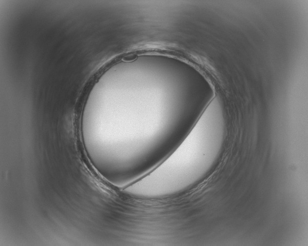 X0000070251404200606020946