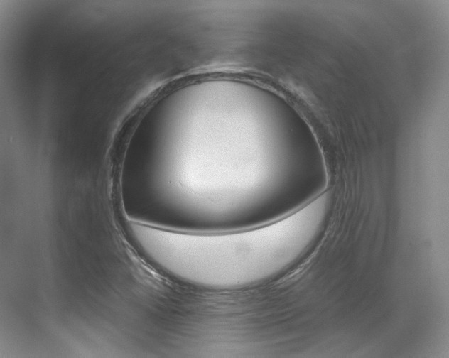 X0000070251406200606020946