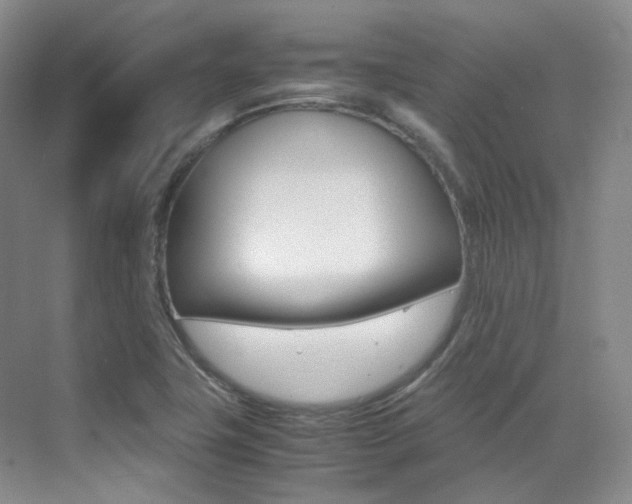 X0000070251411200606020947
