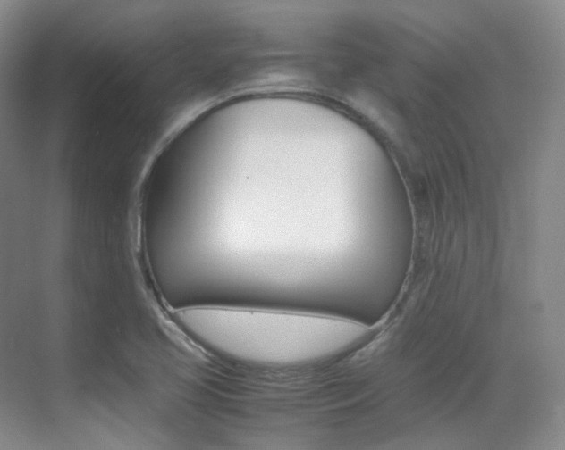 X0000070251413200606020947