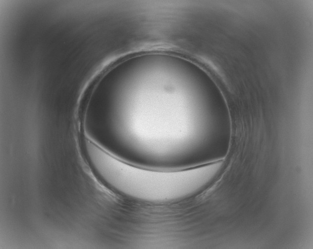 X0000070251414200606020947