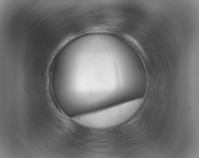 X0000070251419200606020947