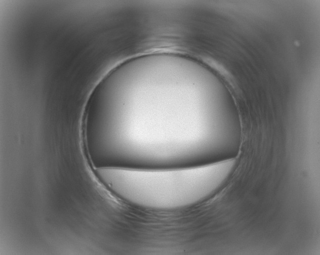 X0000070251423200606020947