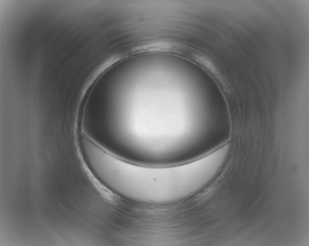 X0000070251426200606020947