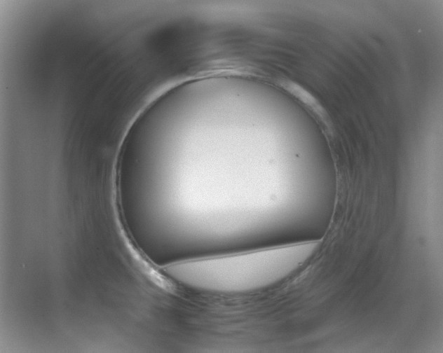 X0000070251431200606020947