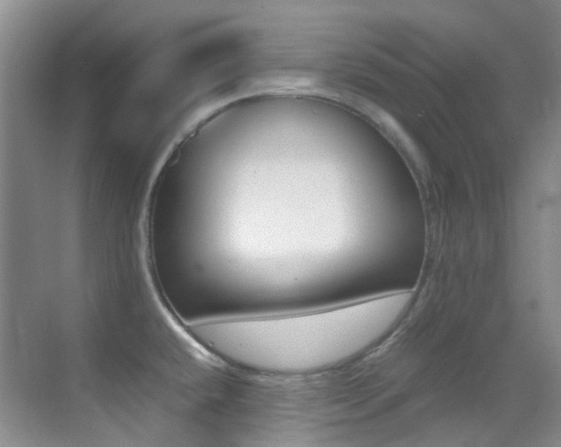 X0000070251432200606020947