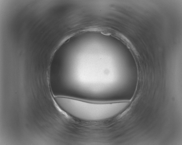 X0000070251433200606020947