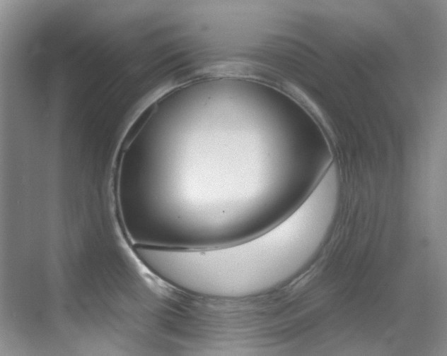X0000070251434200606020947