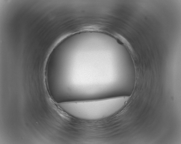 X0000070251435200606020947