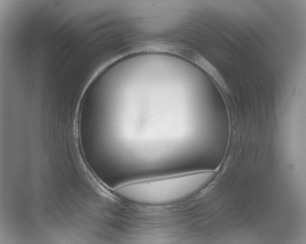 X0000070251436200606020947