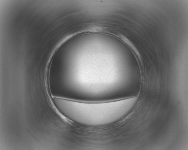 X0000070251437200606020947