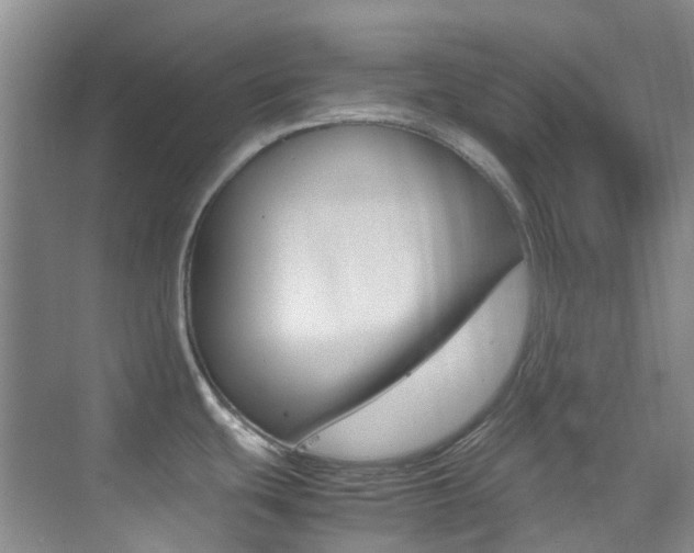 X0000070251439200606020947