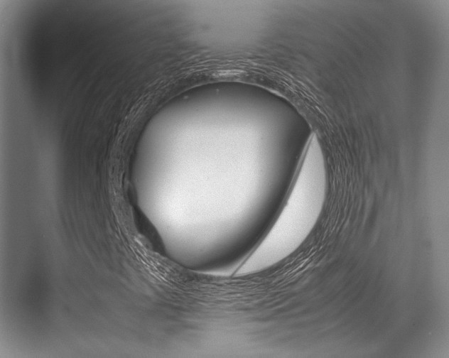 X0000070251441200606020946
