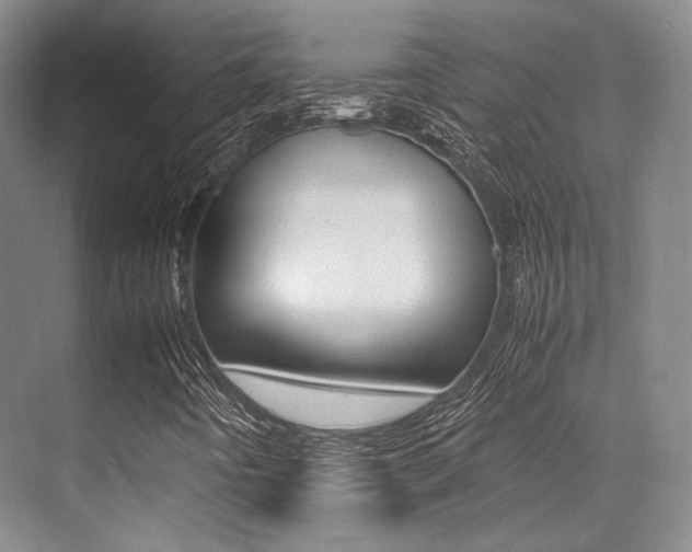X0000070251442200606020946