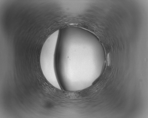 X0000070251443200606020946