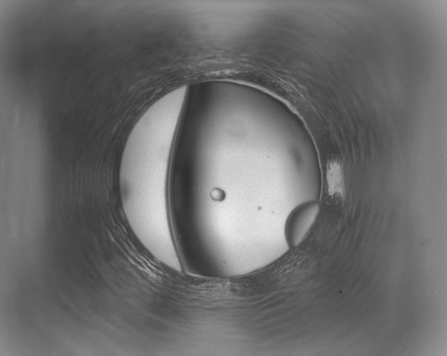 X0000070251444200606020946