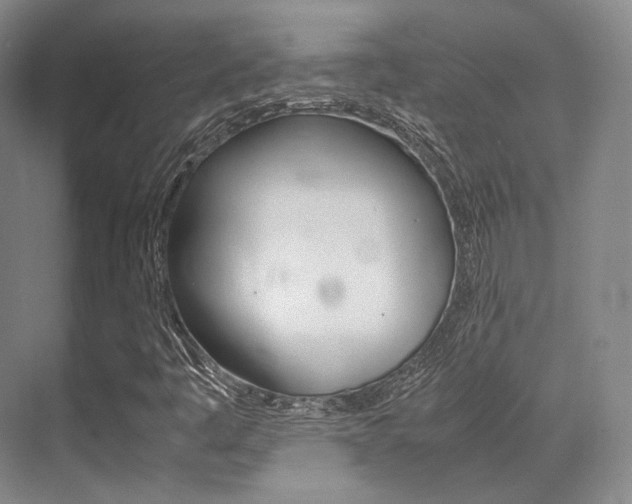 X0000070251445200606020946
