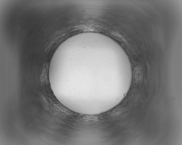 X0000070251446200606020946