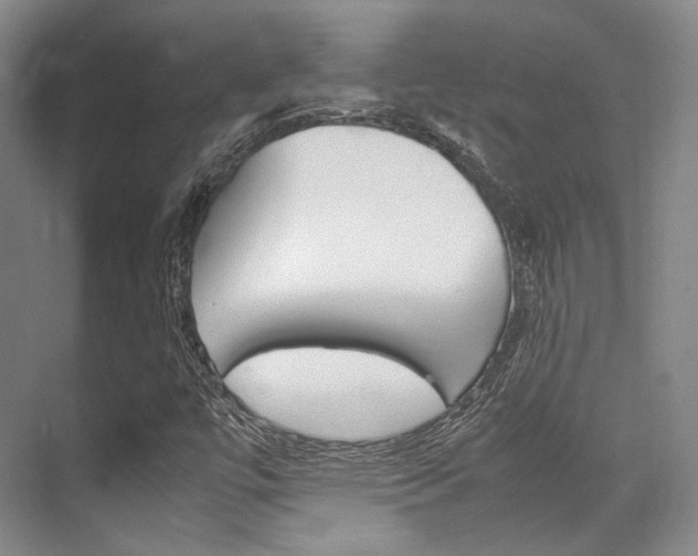 X0000070251447200606020946