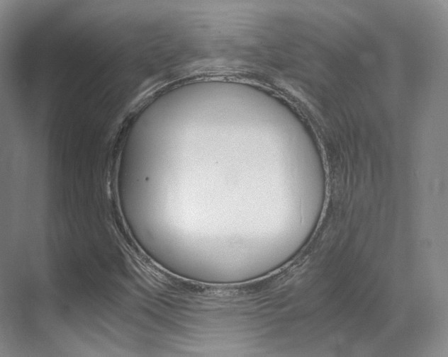 X0000070251451200606020946