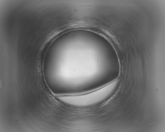 X0000070251453200606020946