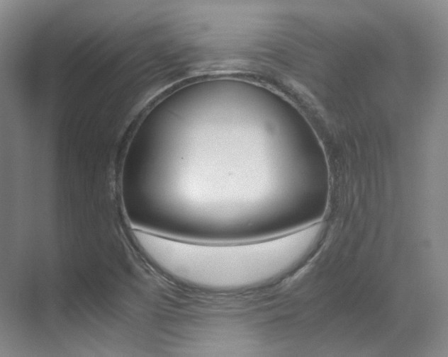 X0000070251457200606020946