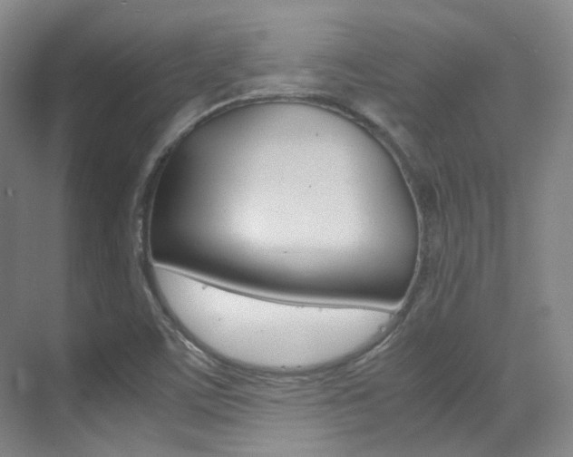 X0000070251459200606020946